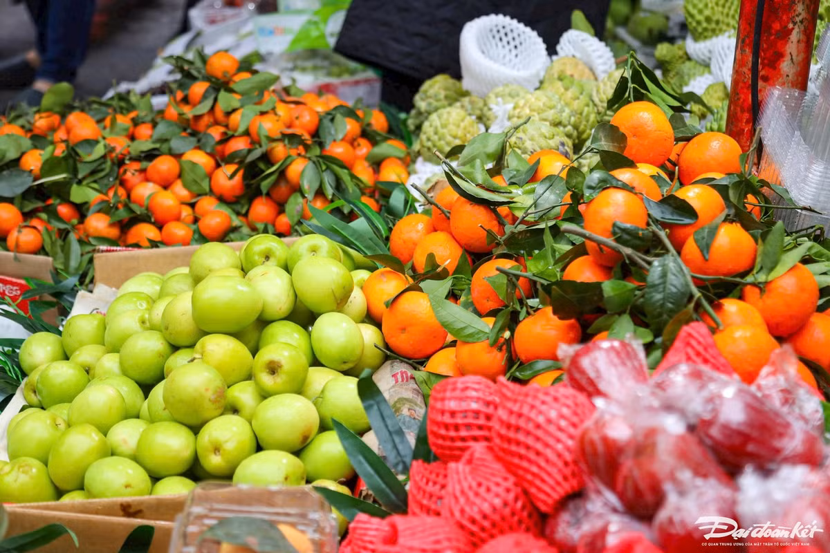 Dưa hấu có giá từ 15.000 - 25.000 đồng/kg, thanh long giá 45.000 - 50.000 đồng/kg, xoài cát giá 50.000 - 60.000 đồng/kg, cam đường từ 50.000 - 80.000 đồng/kg, táo từ 35.000 - 50.000 đồng/kg