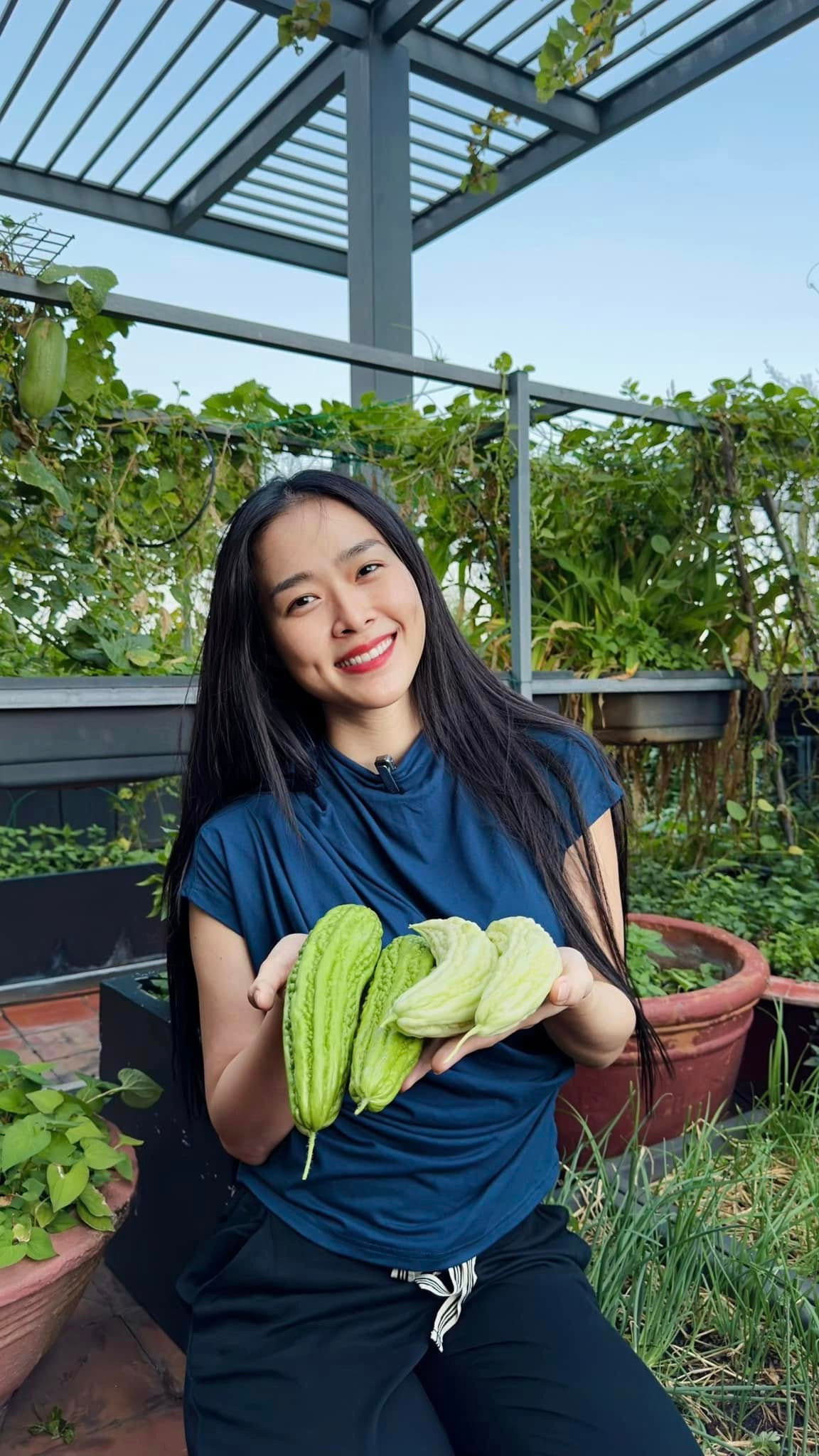 Mướp đắng cùng một dây nhưng trái xanh, trái trắng. Ảnh: FBNV