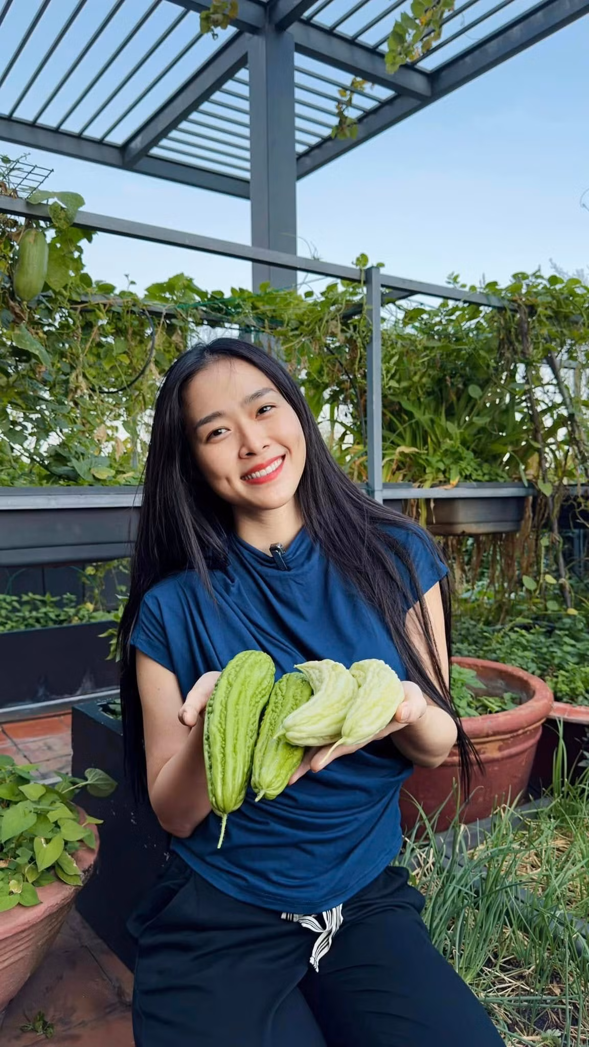 Mướp đắng cùng một dây nhưng trái xanh, trái trắng. Ảnh: FBNV