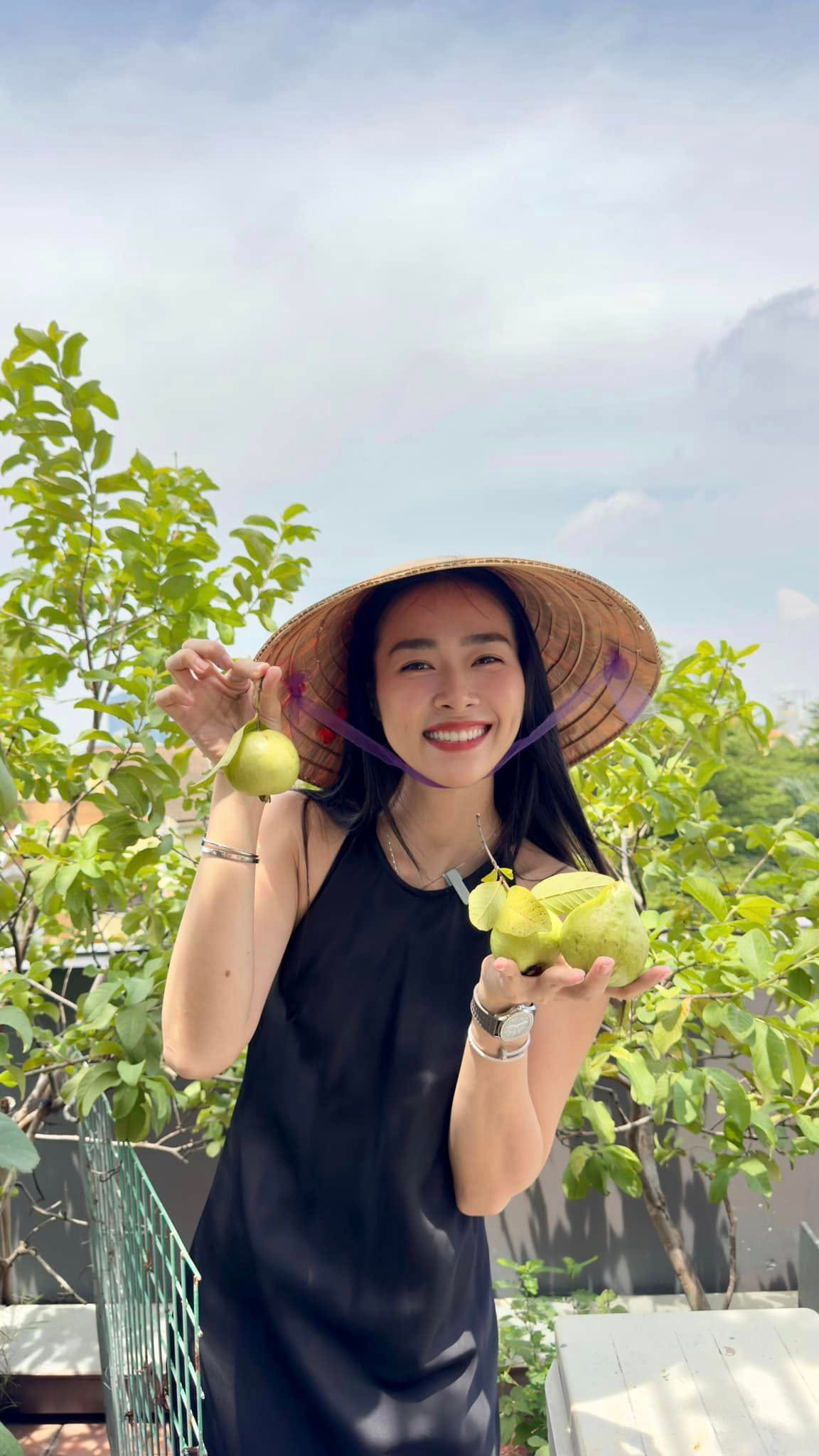 Trước đây, Diệp Bảo Ngọc nhiều lần chia sẻ niềm vui thu hoạch rau củ và trái cây trong khu vườn trên cao. Ảnh: FBNV