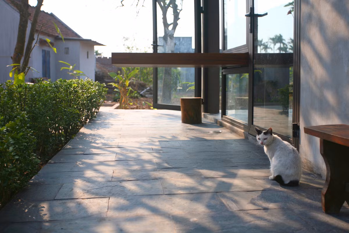 Vào mùa nắng ấm, mặt tiền ba lớp cũng cho phép không gian bên trong mở ra thành một hiên nhà nông thôn. Ảnh: Nguyễn Tuân Nghĩa