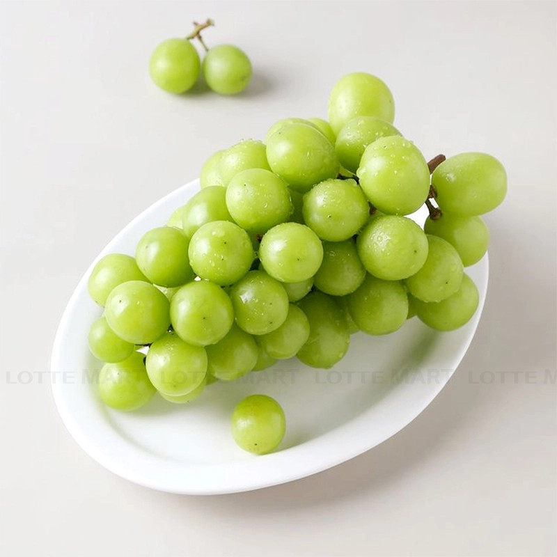 Mỗi chùm nho mẫu đơn nhân sâm Hàn Quốc chỉ nặng từ 600-750gam, thường đóng quy cách 3 chùm mỗi thùng khoảng 2-2,2kg. Ảnh: LOTTE Mart
