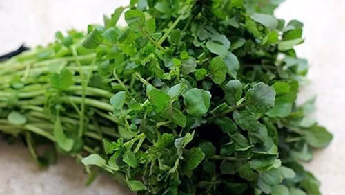 Rau cải xoong được cho là chứa các axit amin cao cấp, hàm lượng calo ít, giúp cân bằng dinh dưỡng một cách tổng thể. Ảnh: Internet