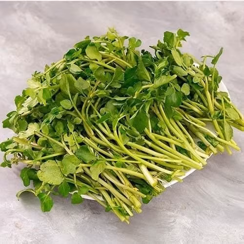 Trước đây, cải xoong mọc hoang nhưng nay được bán nhiều tại các khu chợ dân sinh hay siêu thị với giá chỉ từ 15.000 - 20.000 đồng/kg, tùy thời điểm. Ảnh: Nông sản Dũng Hà