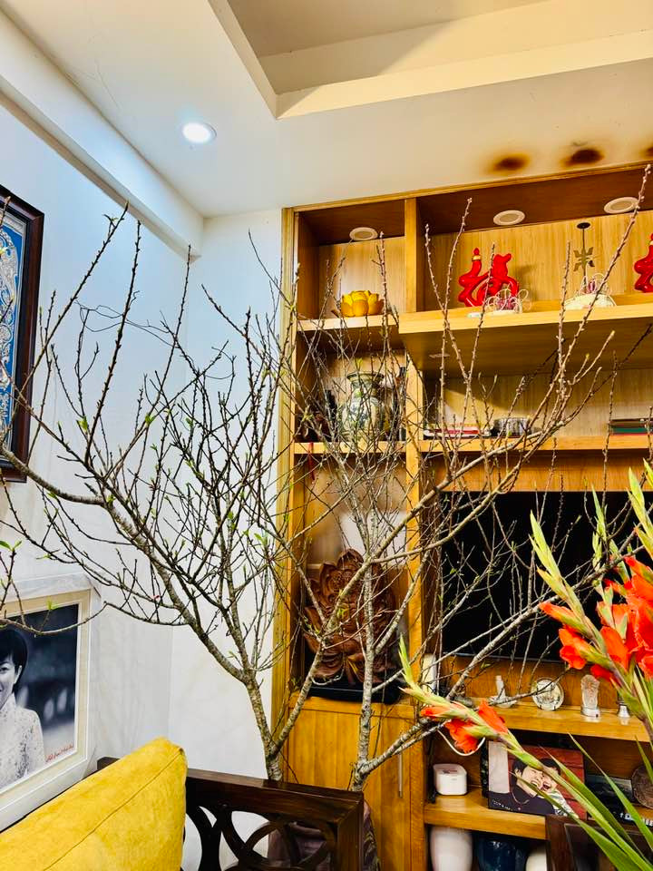 Nhiều năm qua, MC Thảo Vân sống cùng con trai trong căn hộ hơn 90m2 tại Hà Nội. Qua một số hình ảnh chia sẻ, có thể thấy căn hộ của MC Thảo Vân mang phong cách đơn giản nhưng vẫn sang trọng…Ảnh: FB Thảo Vân