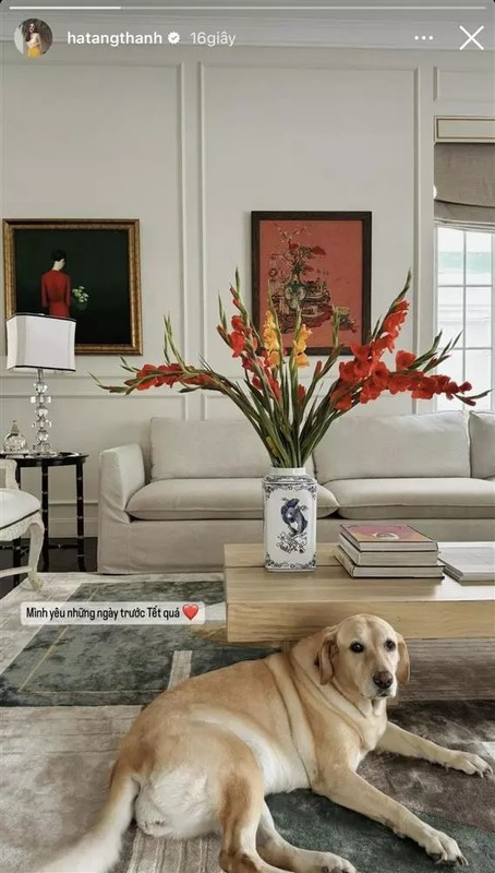 Biệt thự triệu đô sang trọng của gia đình Tăng Thanh Hà ở quận 2, TP.HCM. Ảnh: FBNV