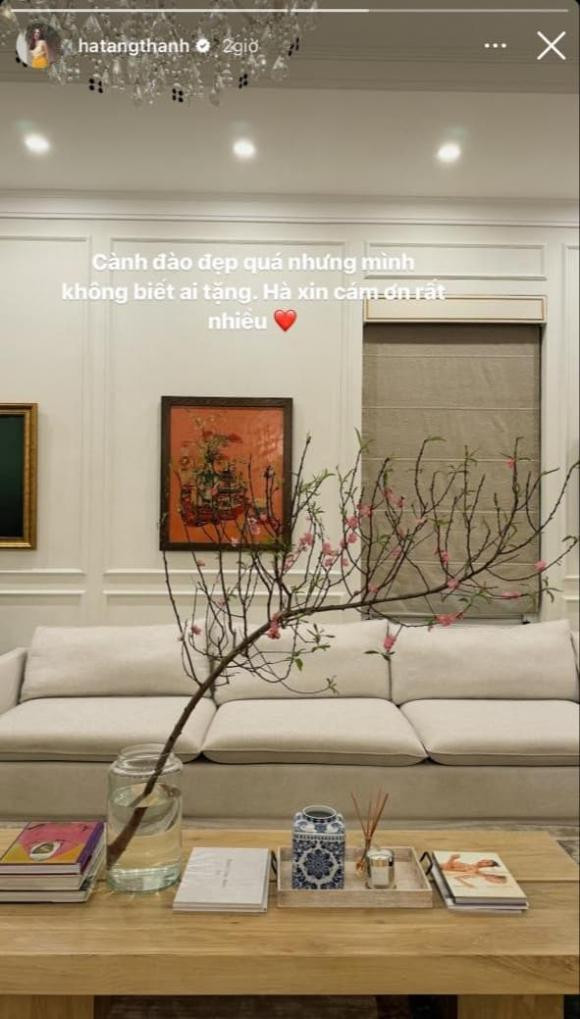 Bên cạnh hoa lay ơn, Tăng Thanh Hà còn hay sử dụng nhiều loại hoa khác như cúc, mai vàng, cành đào để trang trí, mang đến sự đa dạng và phong phú cho ngôi nhà. Ảnh: FBNV