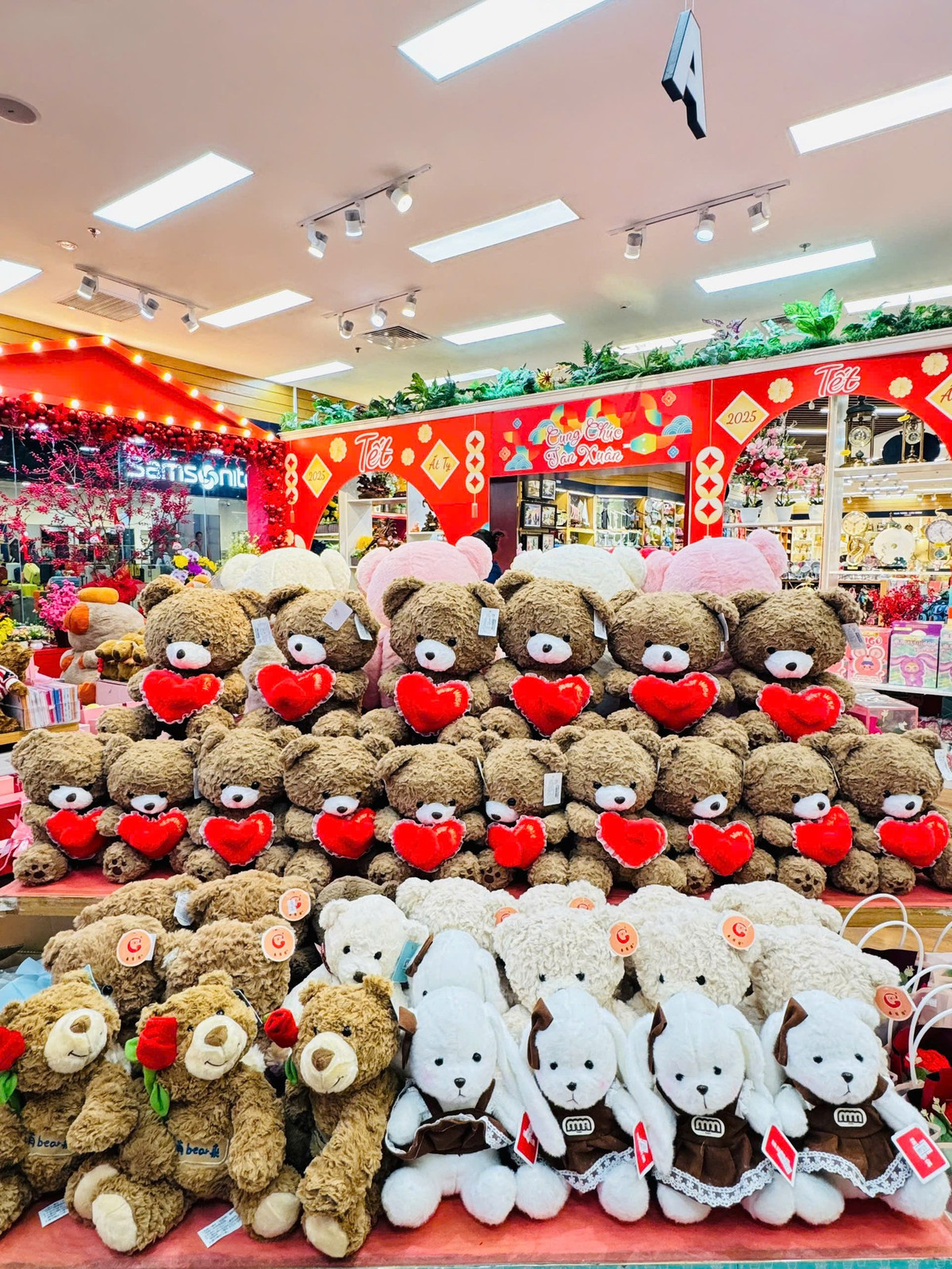 Người trẻ ồ ạt mua socola, cửa hàng “hốt bạc” mùa Valentine 2025 - Hình 3 Nguoi tre o at mua socola, cua hang “hot bac” mua Valentine 2025-Hinh-3