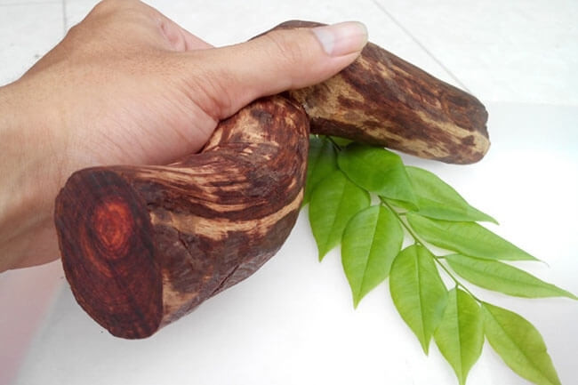 Do mức độ ít ỏi, quý hiếm, một cây gỗ sưa có thể được trả giá cả chục tỷ đồng. Ảnh: Đồ Gỗ Quang Thích