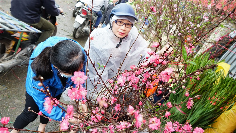 Chợ họp cả ngày, du khách có thể ghé thăm bất cứ lúc nào để tham quan, chụp hình và mua về những bông hoa tươi tắn rực rỡ. Ảnh: Vietnamnet