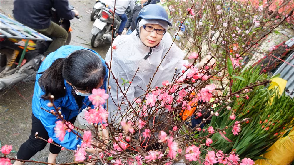Chợ họp cả ngày, du khách có thể ghé thăm bất cứ lúc nào để tham quan, chụp hình và mua về những bông hoa tươi tắn rực rỡ. Ảnh: Vietnamnet