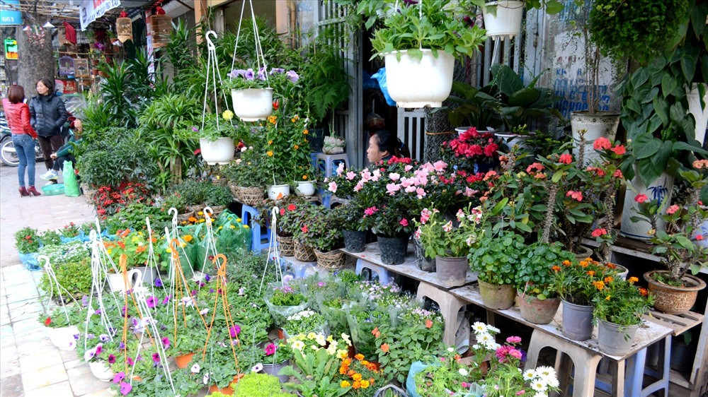 Chợ hoa Hoàng Hoa Thám là một trong những chợ hoa lâu đời và nổi tiếng nhất Hà Nội. Ảnh: T.L