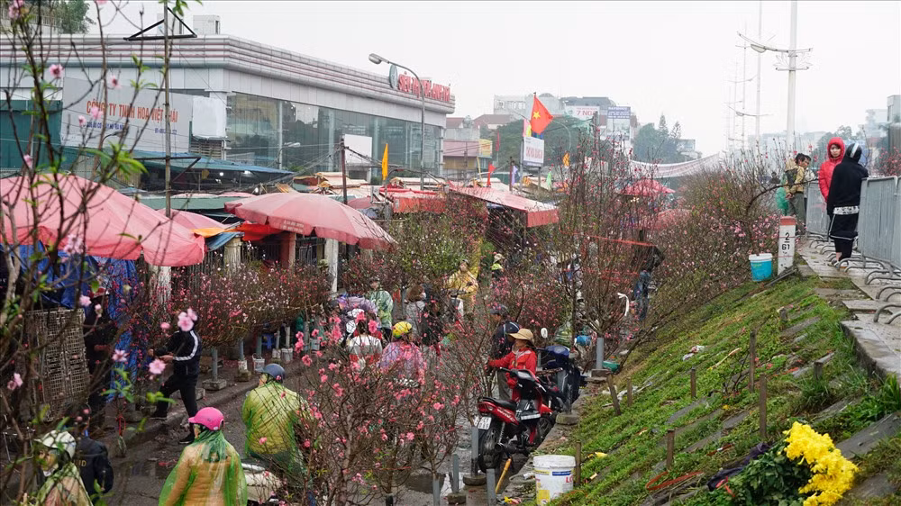 Quảng Bá là chợ hoa nổi tiếng Hà thành, không chỉ là chợ đầu mối lớn nhất Hà Nội mà đây còn là một trong những chợ hoa Tết sầm uất nhất. Ảnh: Dân Việt