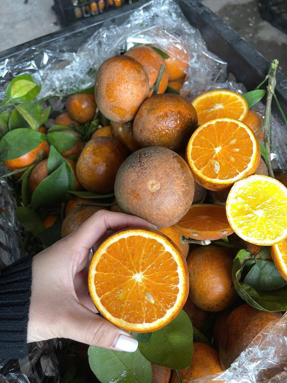 Quýt sim vỏ dày, màu vàng cam bắt mắt, tép căng mọng. Vị quýt sim ngọt, chua nhẹ, phù hợp với khẩu vị của nhiều người. Ảnh: FB Em Tuyến