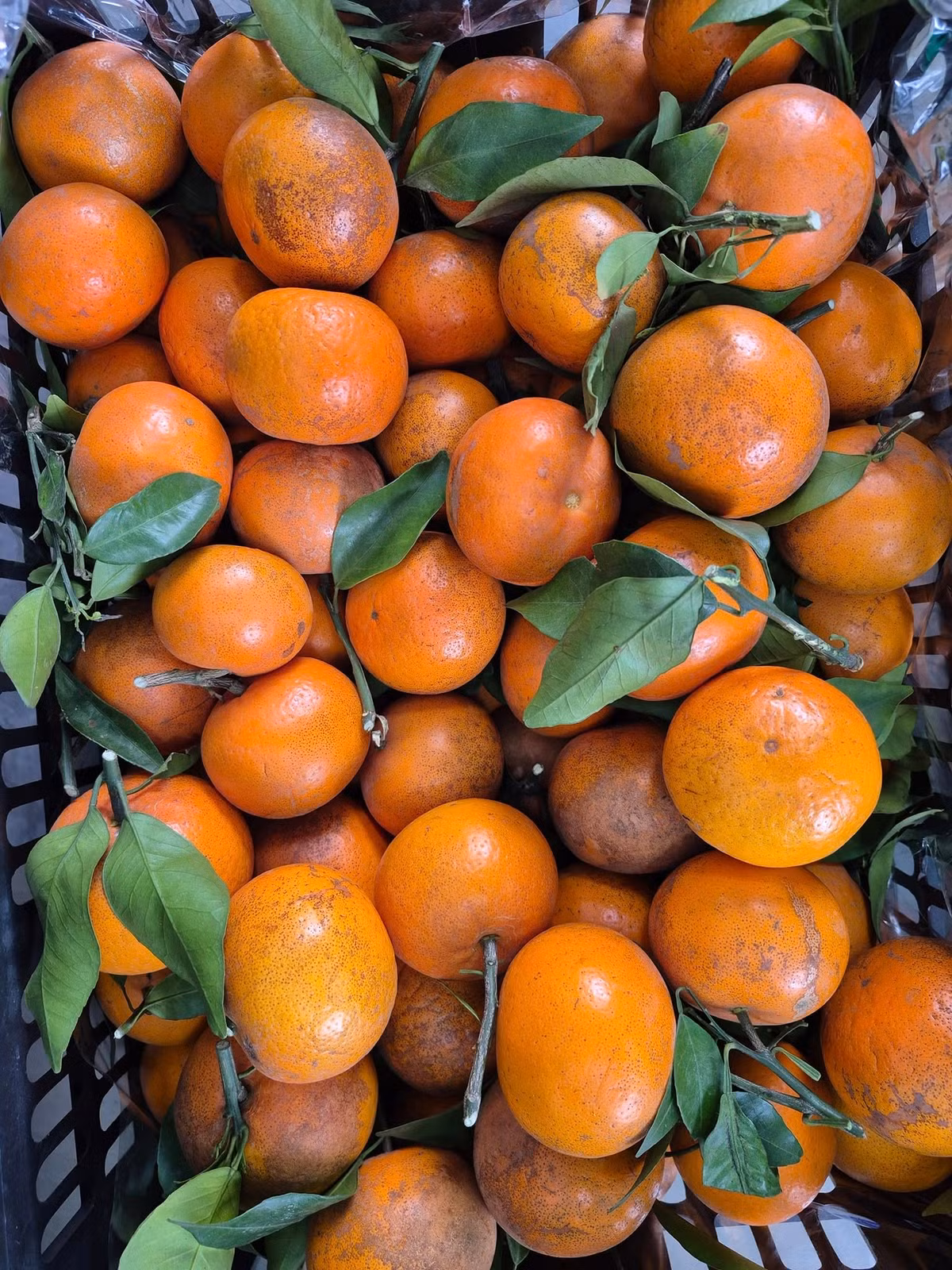 Trên chợ mạng và các cửa hàng trái cây và thực phẩm sạch ở Hà Nội, giá quýt sim dao động từ 25.000 - 40.000 đồng/kg, thậm chí có tiểu thương rao bán 100.000 đồng/5kg. Ảnh: FB Đinh Quyên