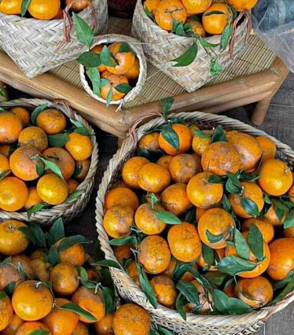 Người bán cho biết, quýt sim trồng nhiều ở Cao Bằng và một số tỉnh miền Trung. Ảnh: Facebook