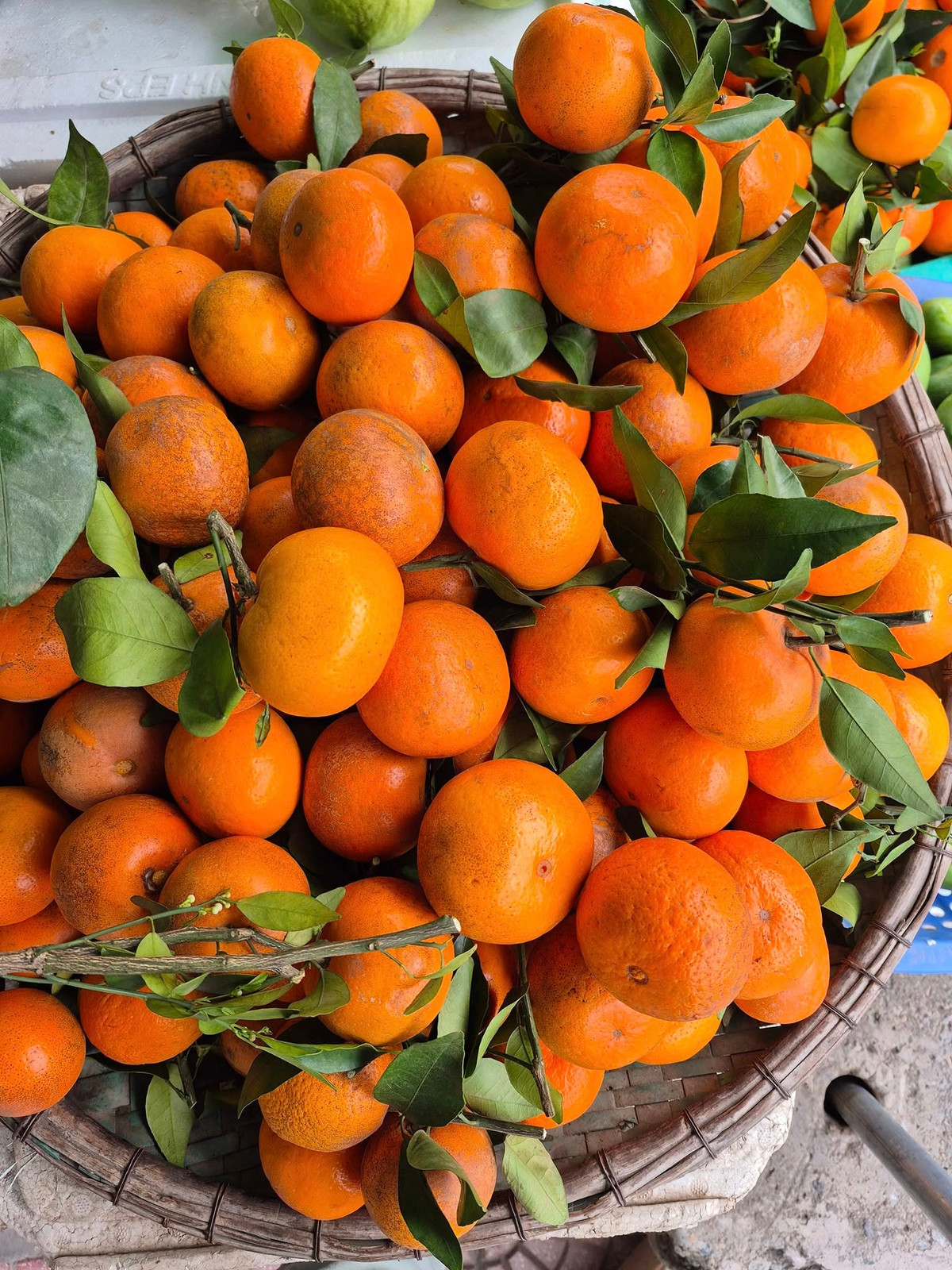 So với các loại quýt nhập khẩu đắt đỏ hay quýt đường VietGap, quýt sim có mức giá khá dễ chịu. Ảnh: FB Nhung Bee