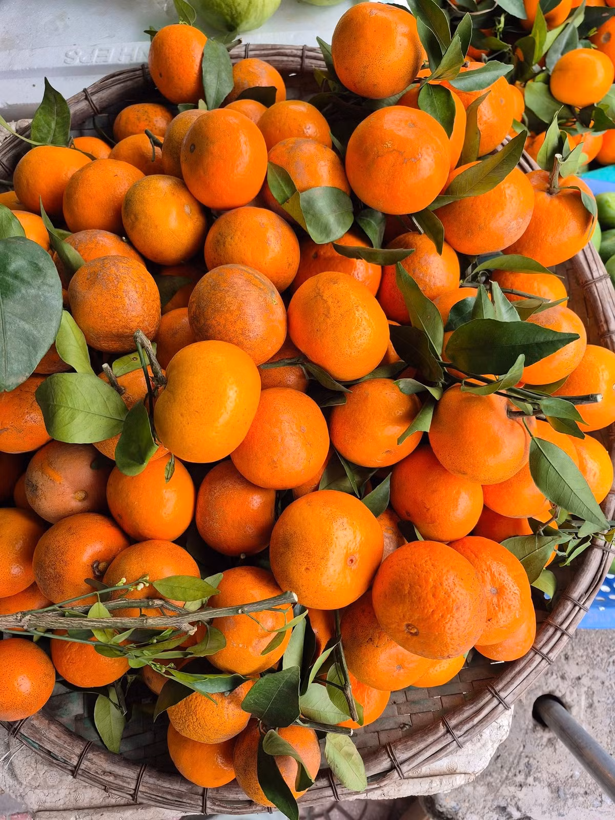 So với các loại quýt nhập khẩu đắt đỏ hay quýt đường VietGap, quýt sim có mức giá khá dễ chịu. Ảnh: FB Nhung Bee