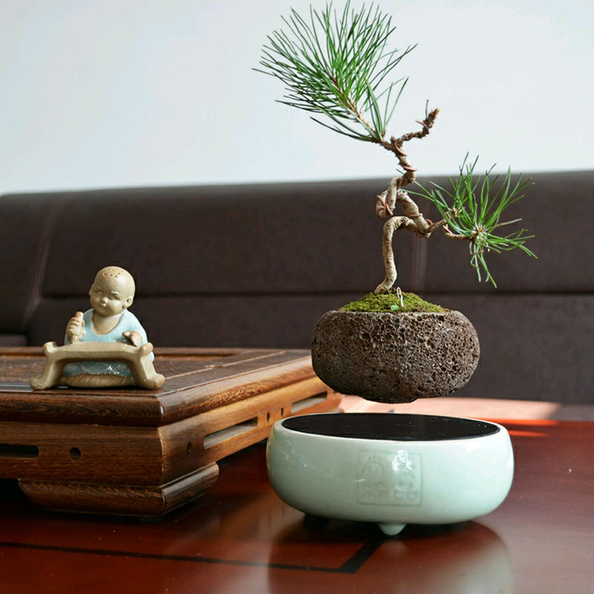 Tiêu chuẩn đánh giá bonsai bay cũng giống như bonsai truyền thống với 3 yếu tố chuẩn mực: độ tuổi; thần thái và dáng vẻ của cây. Ảnh: The Green Head