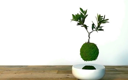 Bộ phận năng lượng ở phần đế giúp chậu cây phía trên giữ thăng bằng và xoay vòng mà không bị rơi hoặc bay chệch ra khỏi trục đế. Ảnh: Hoshinchu Air