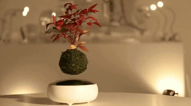 Thậm chí, những chậu bonsai bay có thể xoay vòng tại chỗ. Ảnh: Fastcompany