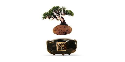 Để bonsai bay được, cây được đặt trên hệ thống chậu cảnh có từ tính gồm 2 phần, phía trên giúp cây trôi lơ lửng; phần đế là một bộ phận năng lượng, ở phần đế có khe cắm điện. Ảnh: Hoshinchu