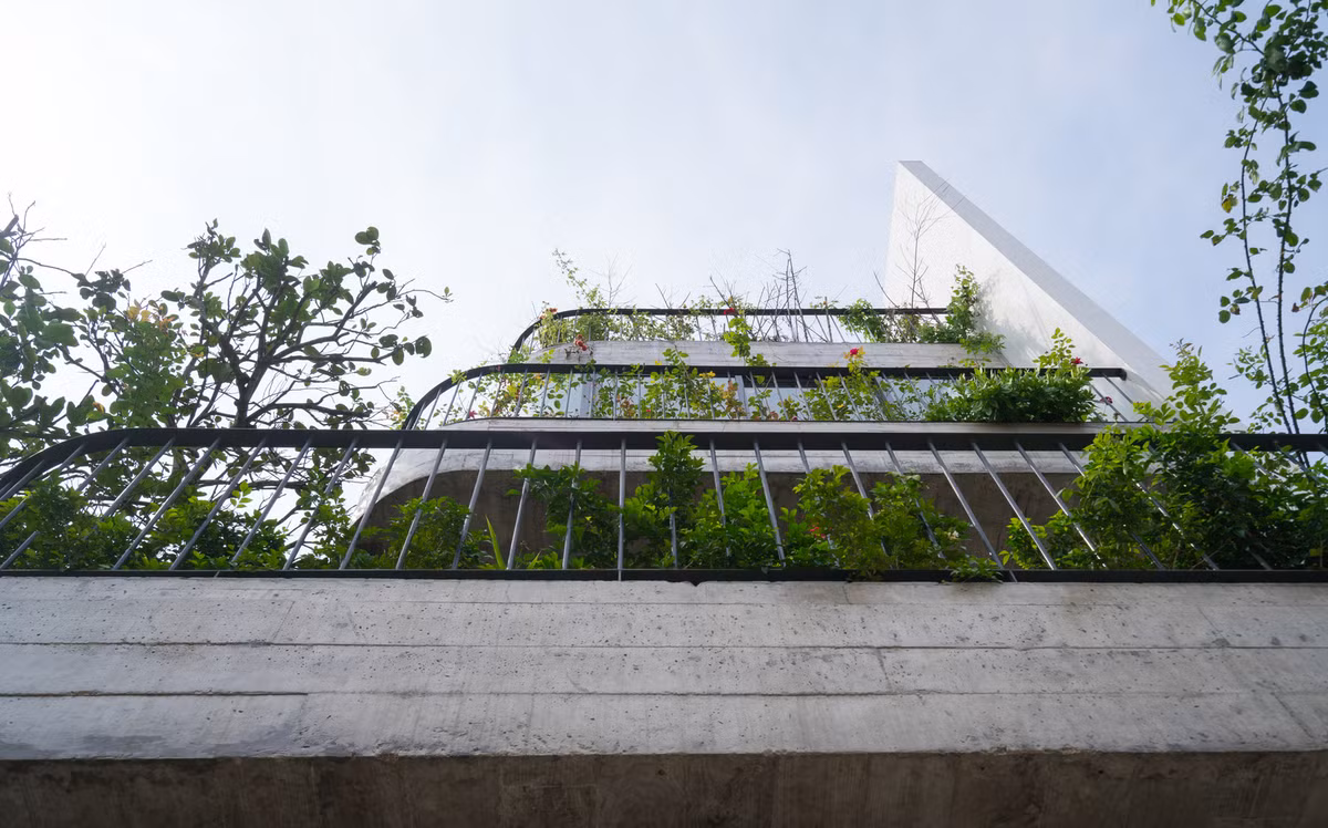 Mặt tiền nhà hướng Nam nên hoàn toàn thông thoáng đón gió mát. Do mặt tiền hẻm hẹp nên các tầng cao lùi vào để tạo view. Ảnh: Triệu Chiến