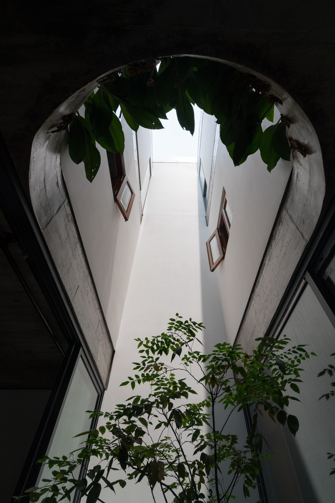 Ngôi nhà sử dụng nhiều khoảng thông tầng để lấy ánh sáng đồng thời tạo sự kết nối và liên tục giữa 4 tầng không gian. Ảnh: Triệu Chiến