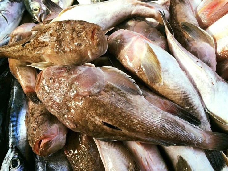 Trên chợ mạng và các cửa hàng hải sản, giá cá bùng binh cao hơn, khoảng 160.000 đồng/kg. Ảnh: Facebook