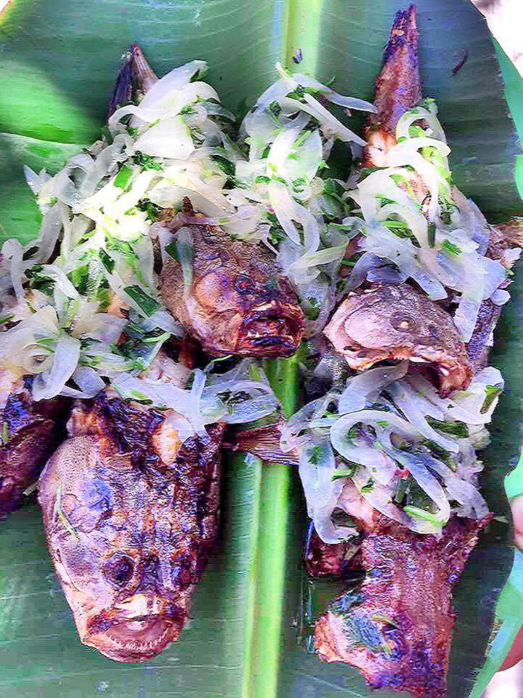 Những năm gần đây, trong các nhà hàng, quán ăn, cá bùng binh được nhiều khách ưa chuộng. Ảnh: Facebook