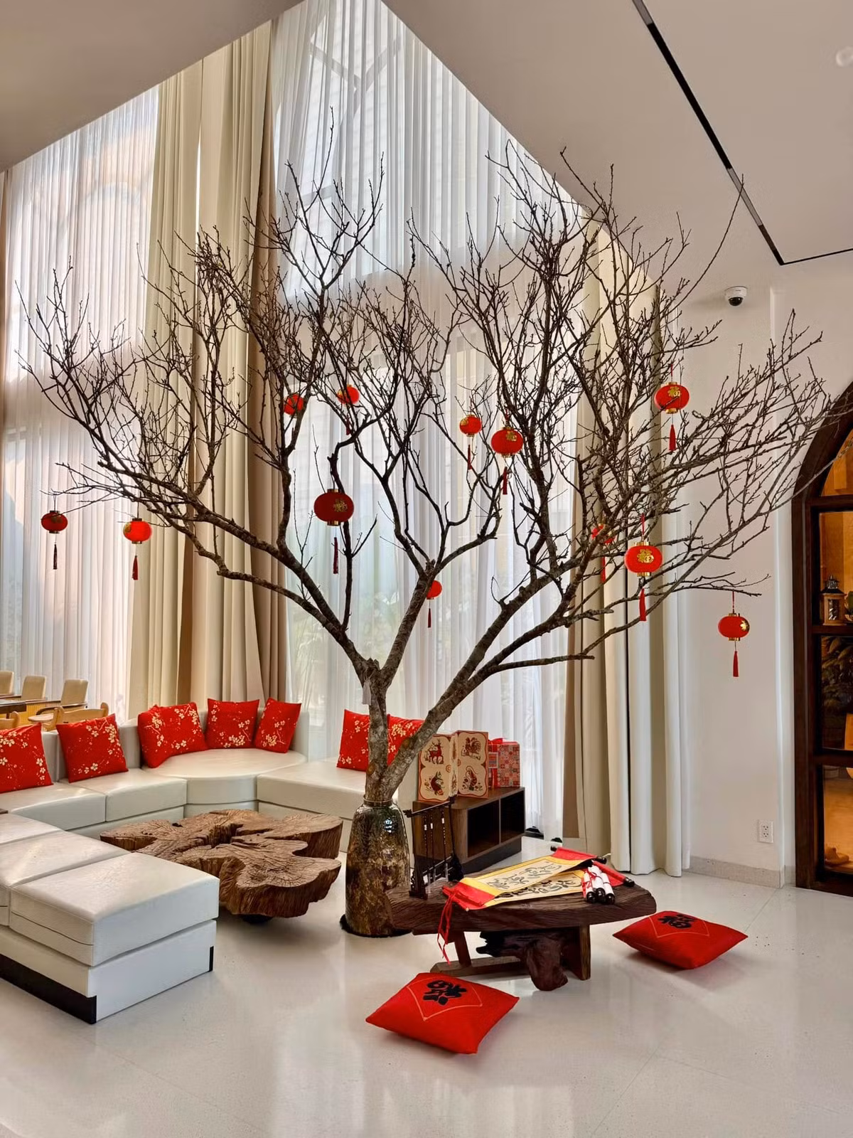 Là người yêu cây, Vân Trang biến phòng khách thành khu rừng nhỏ. Ảnh: FB Vân Trang