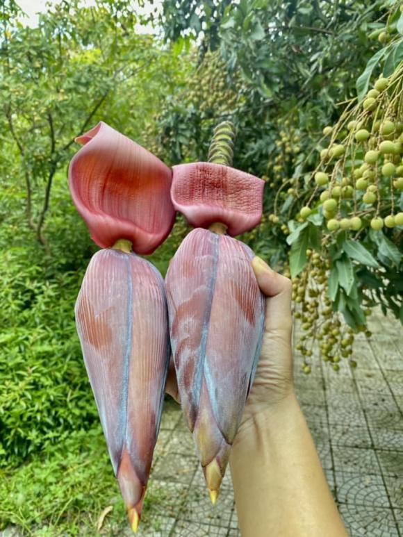 Hoa chuối hái trong vườn. Ảnh: FBNV