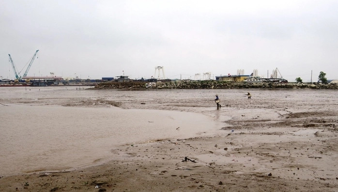 Trong quá trình câu cá, người đi câu phải lội bùn nhẹ nhàng, không tạo ra tiếng động, đồng thời mắt chăm chú quan sát, một tay cầm cần, một tay cầm lưỡi câu để sẵn sàng "ra đòn" khi phát hiện cá. Ảnh: Người lao động