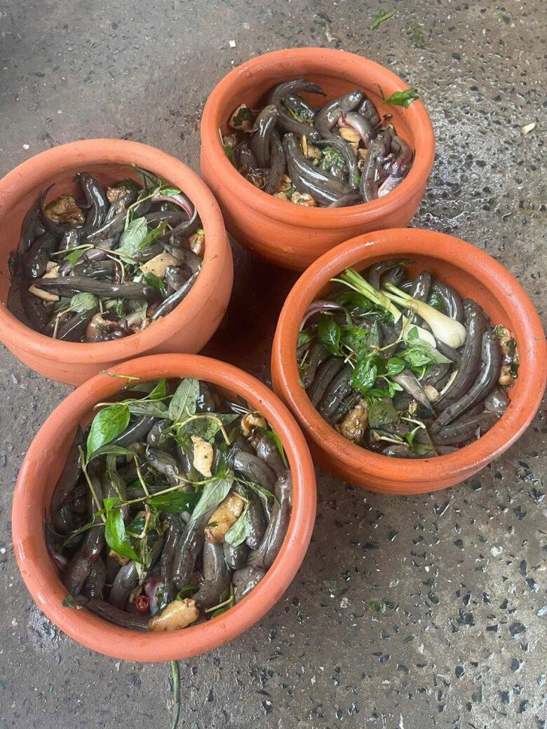 Dù có phần xấu xí nhưng thịt cá lác thơm ngon, chắc, bổ dưỡng. Ảnh: Facebook