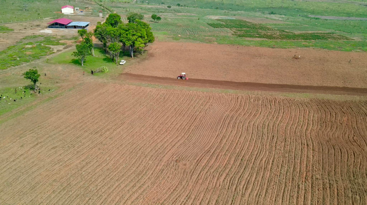 Tại Bailundo, huyện Huambo (Angola), Quang Linh Vlogs đầu tư trang trại rộng 14 ha. Đây được coi là trang trại lớn bậc nhất trong khu vực. Ảnh: FBNV