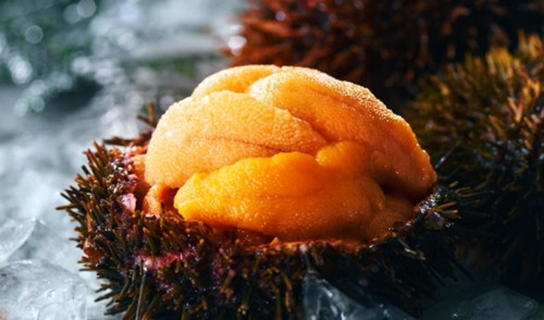 Nhum biển được sơ chế sạch, cắt bỏ gai và tách làm đôi, để lộ phần thịt béo ngậy, mềm mọng. Ảnh: New fresh