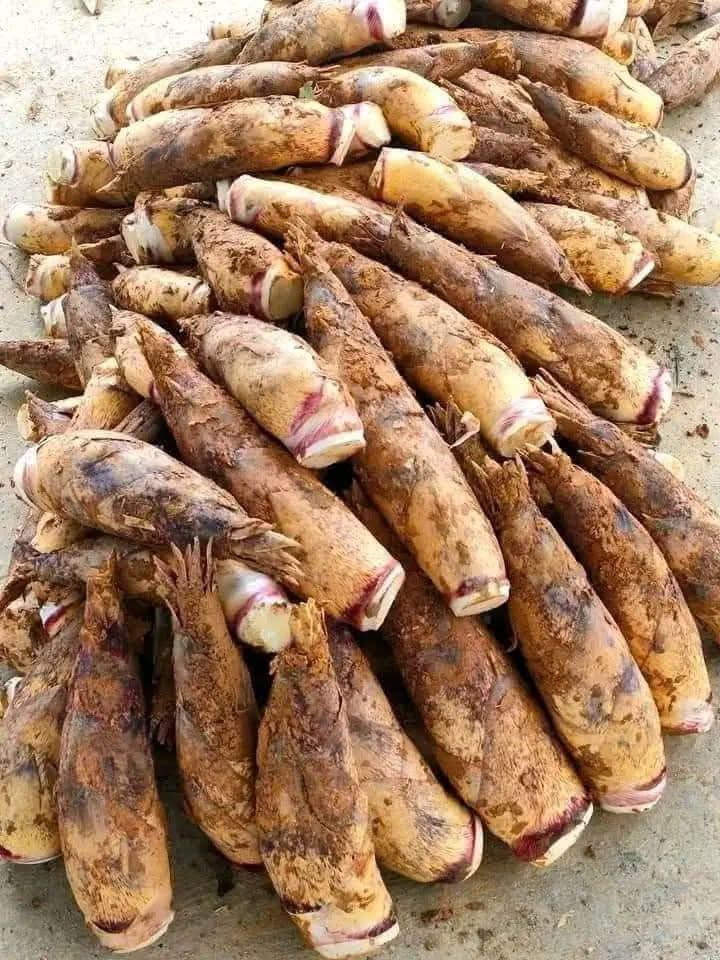 Trên chợ mạng, măng vầu Tây Bắc có giá từ 55.000 - 60.000 đồng/kg. Ảnh: Facebook