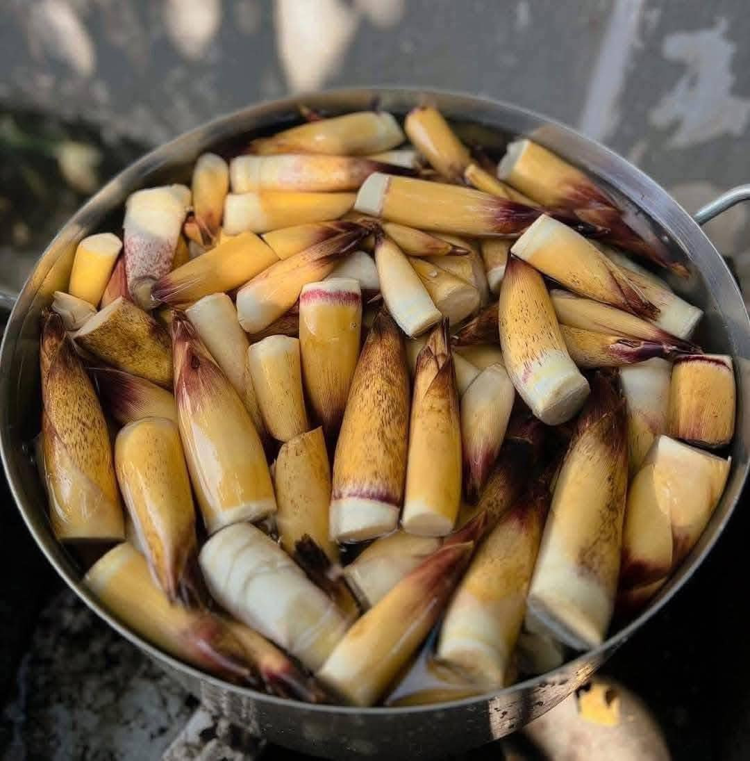 Chị Phương Thảo (Hà Đông, Hà Nội) cho biết, trước kia măng vầu khá rẻ, chỉ 15.000-20.000 đồng/kg. Nhưng gần đây, trào lưu ăn măng vầu gây sốt mạng khiến giá măng vầu tăng vọt, thành hàng đắt đỏ. Ảnh: Facebook