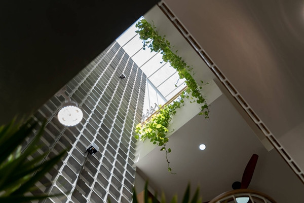 Giếng trời giữa và sau nhà cùng với hệ cây xanh phong phú tạo khoảng xanh thư giãn. Ảnh: SBS House