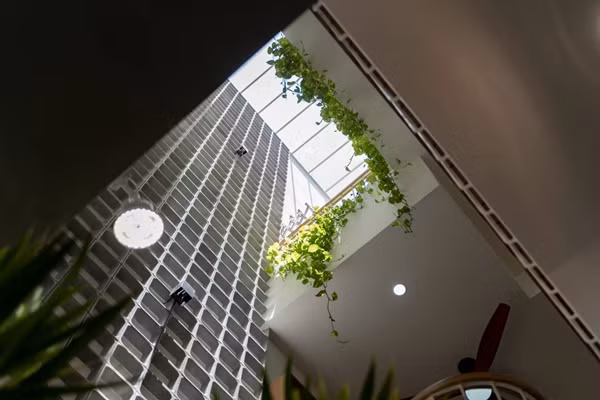 Giếng trời giữa và sau nhà cùng với hệ cây xanh phong phú tạo khoảng xanh thư giãn. Ảnh: SBS House