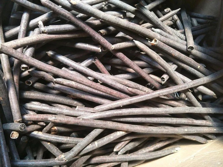 Quả muồng hoàng yến hình thuôn dài, tối màu, lớp vỏ thô cứng như khúc gỗ. Nếu chỉ nhìn qua, không ai nghĩ đây là một loại quả. Ảnh: Internet