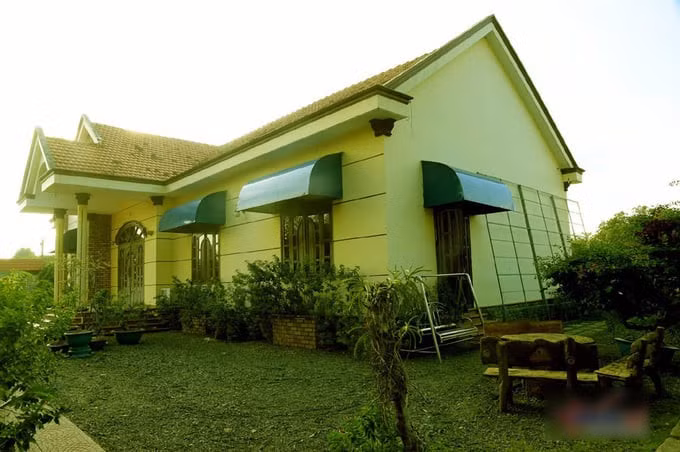 Căn nhà được bao phủ bởi nhiều cây xanh. Ảnh: Internet