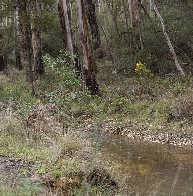 “Vớ bẫm” cục vàng 2kg, người đàn ông thức trắng 3 đêm - Hình 3 “Vo bam” cuc vang 2kg, nguoi dan ong thuc trang 3 dem-Hinh-3