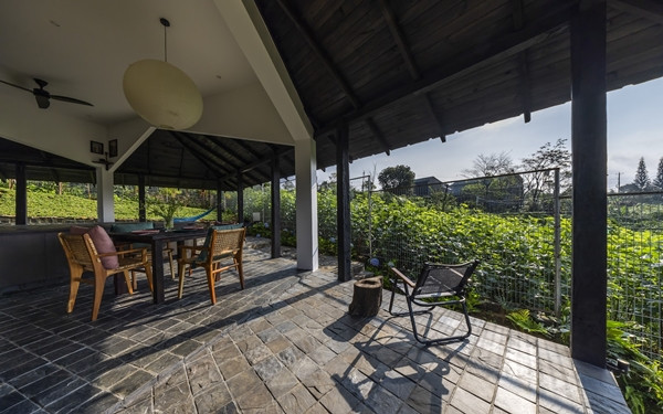 Phòng khách thiết kế theo phong cách tối giản với không gian mở, giúp ánh sáng tự nhiên ngập tràn. Ảnh: Hiroyuki Oki