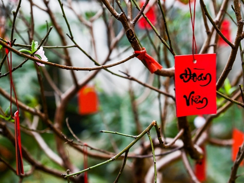 Cây đào được trang trí đậm chất truyền thống. Ảnh: Vietnamnet