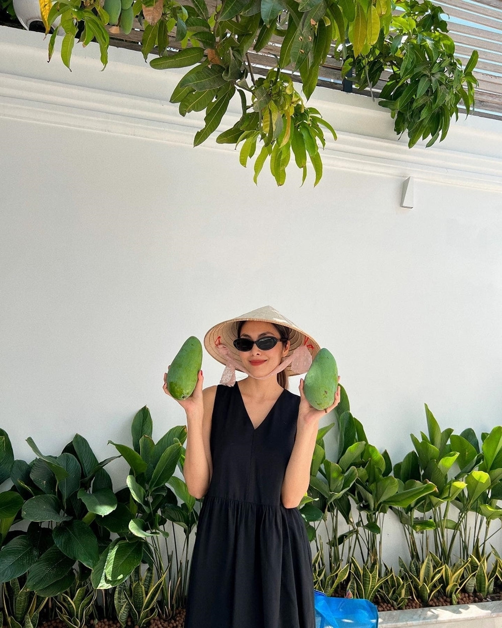 Trên trang cá nhân, Hà Tăng nhiều lần khoe thu hoạch ổi, xoài ngay tại căn biệt thự trắng giữa lòng thành phố. Ảnh: FB Tang Thanh Ha