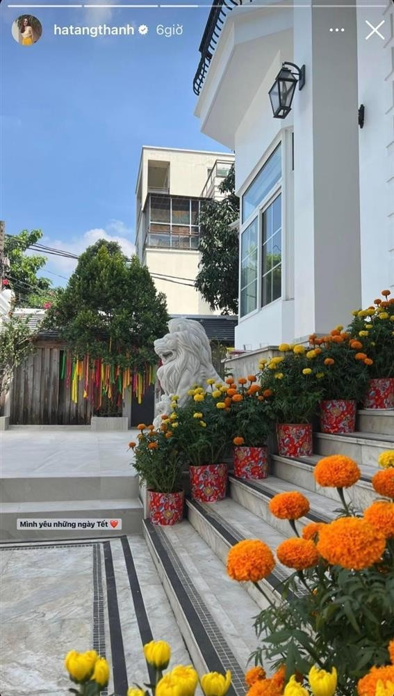 Mỗi dịp Tết đến, "ngọc nữ" biến sân vườn ngập tràn hoa thành góc chụp ảnh xịn xò cho cả gia đình. Ảnh: FB Tang Thanh Ha