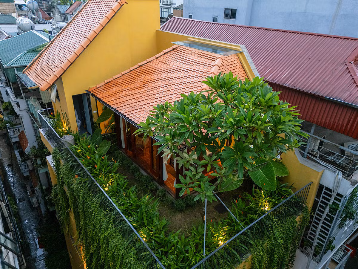 Điểm đặc biệt là căn nhà gỗ tọa lạc ngay trên nóc tòa nhà, mang lại không gian thư giãn như một khu vườn nhỏ trên cao. Ảnh: Triệu Chiến