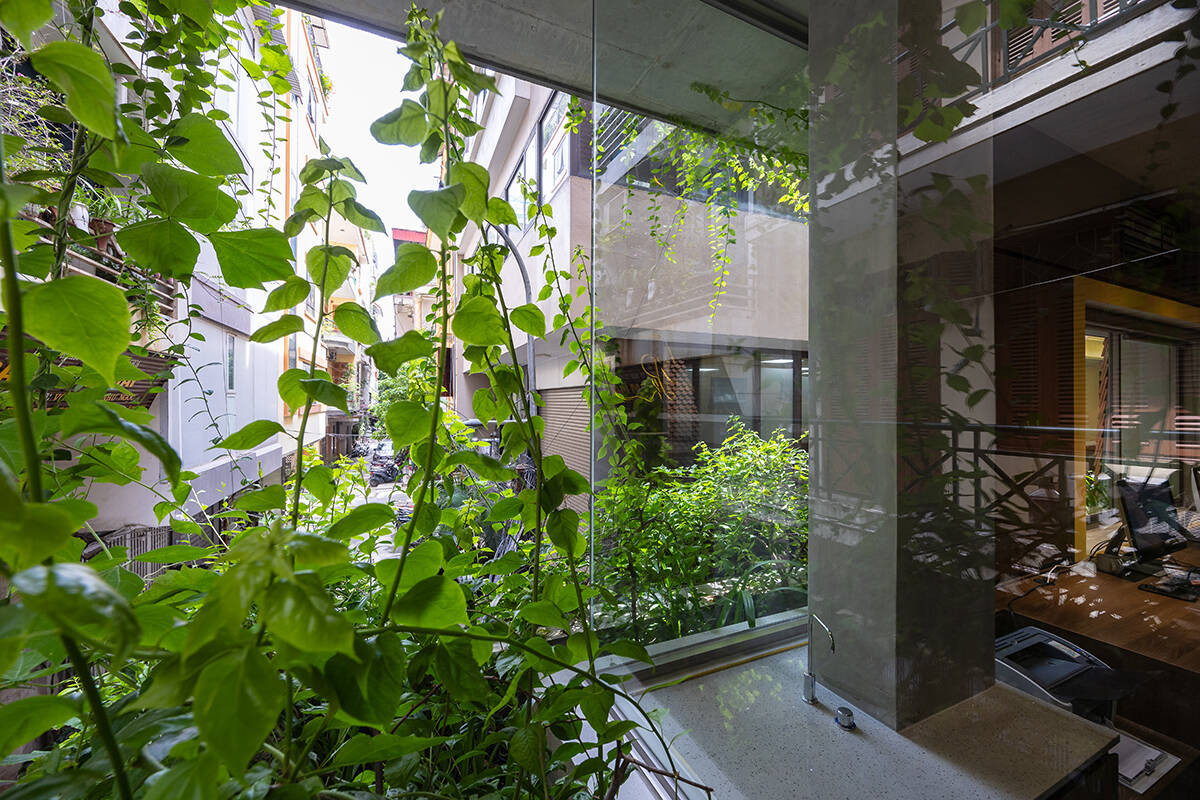 Cây xanh xuất hiện ở khắp nơi. Ảnh: Triệu Chiến