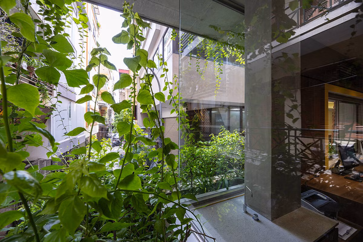 Cây xanh xuất hiện ở khắp nơi. Ảnh: Triệu Chiến